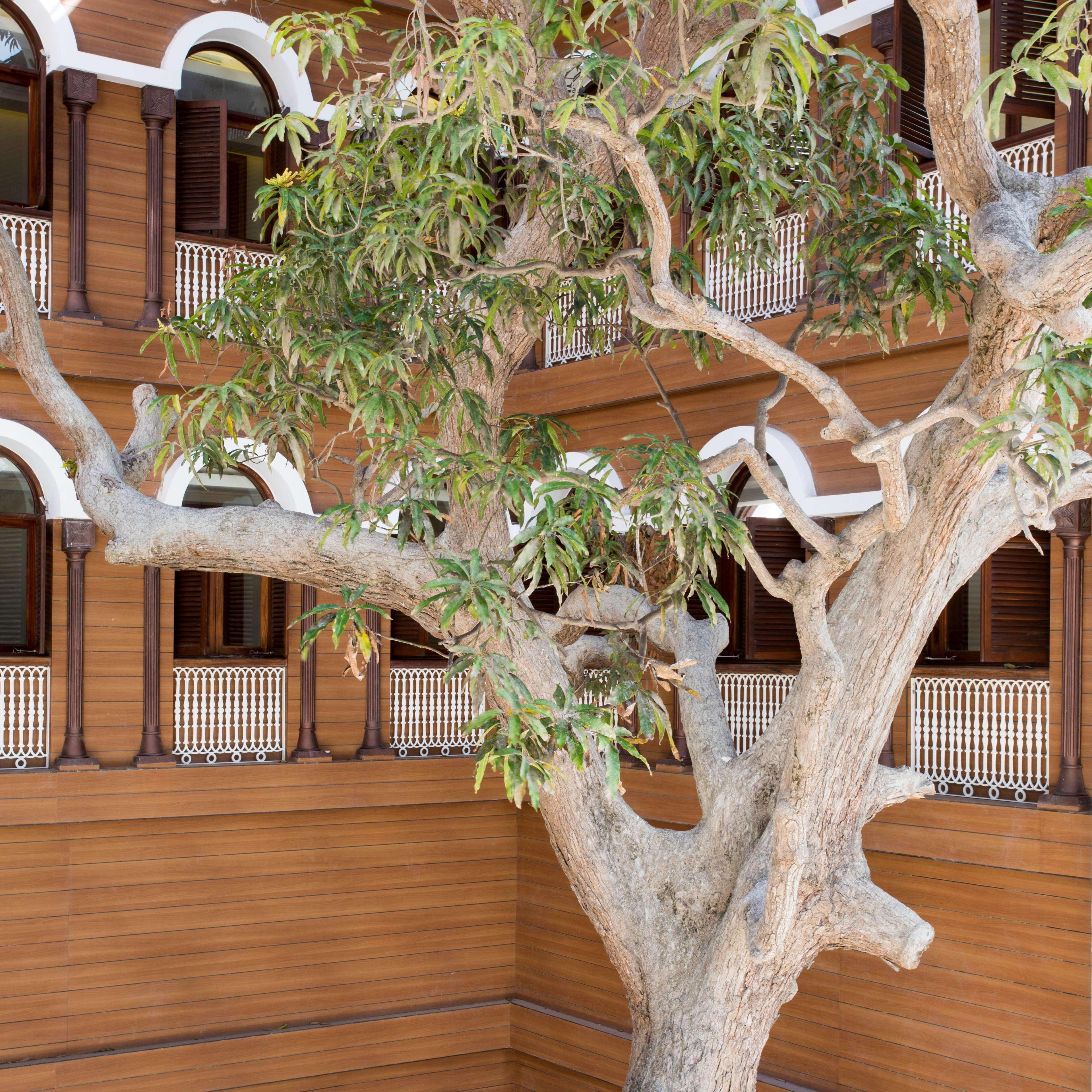 Hotel Park Hyatt Zanzibar Esterno foto